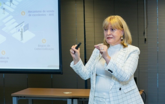 1º encontro Câmara FGV - Mercado de Geração de Energia Elétrica 